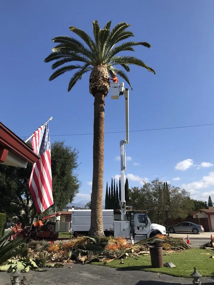 Custom landscape design in La Puente, CA - Shades of Nature