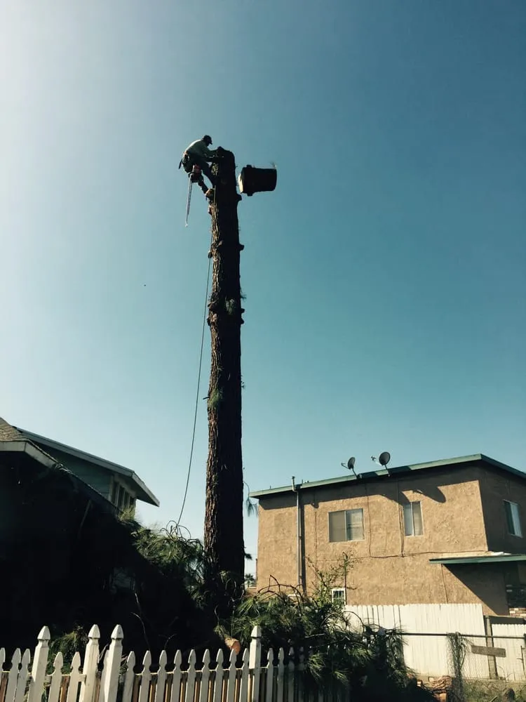 Local landscape installation with custom design across La Puente, CA - Shades of Nature