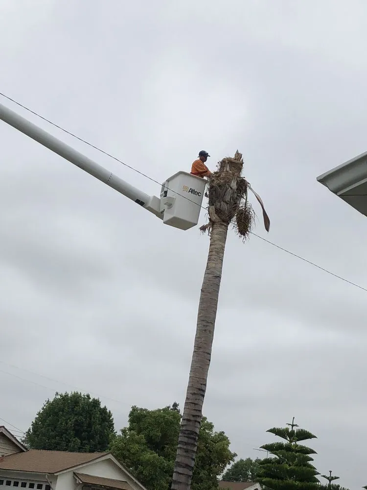 Trusted landscaping services for homes across La Puente, CA - Shades of Nature