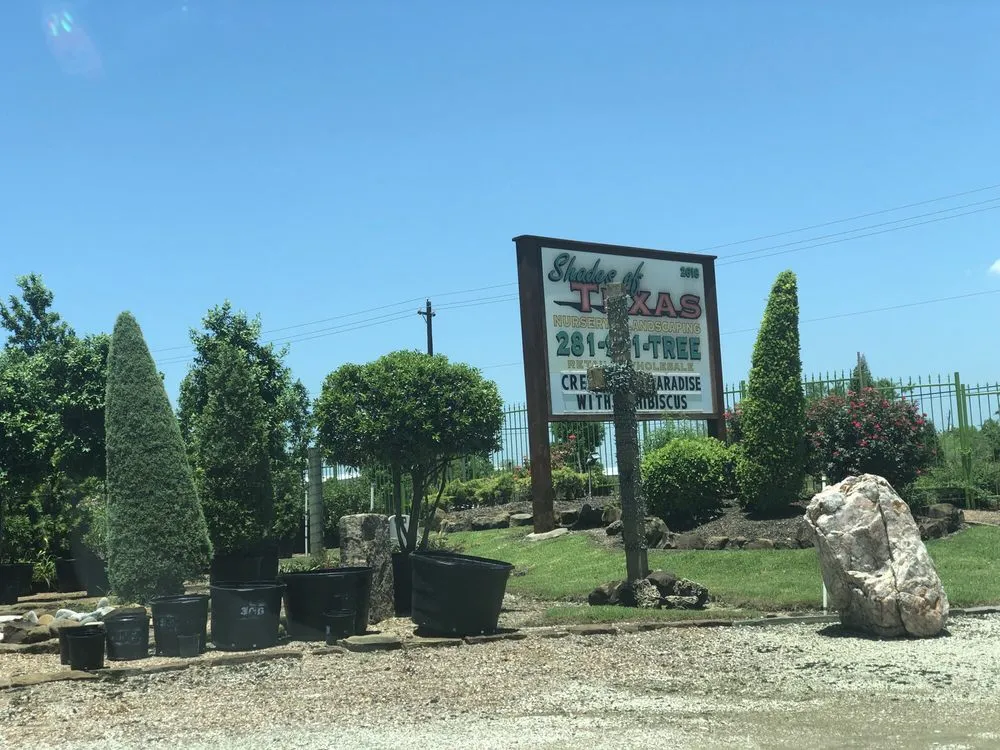 Trusted lawn mowing service for year-round maintenance in Houston, TX by Shades of Texas Wholesale Nursery