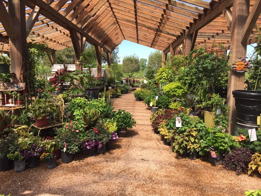 Local lawn care service in Houston, TX - Shades of Texas Wholesale Nursery