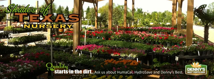 Affordable landscape design for homes across Houston, TX - Shades of Texas Wholesale Nursery