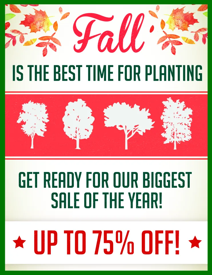 Custom lawn mowing service for year-round maintenance across Houston, TX - Shades of Texas Wholesale Nursery