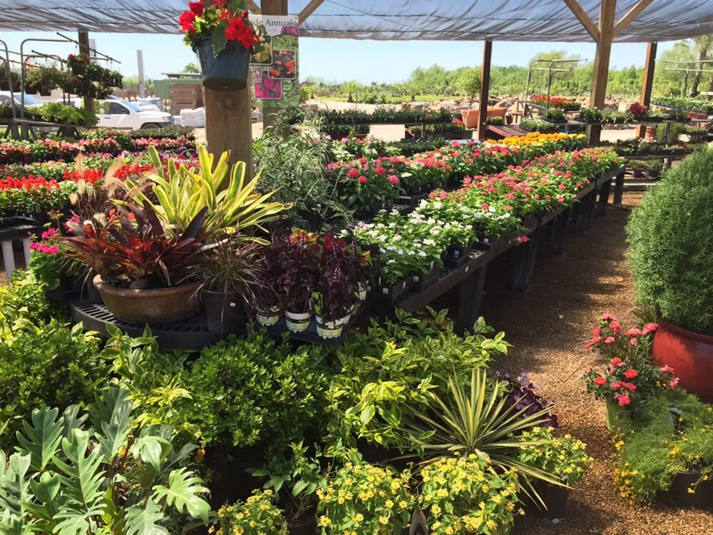 Professional outdoor landscaping for year-round maintenance in Houston, TX by Shades of Texas Wholesale Nursery