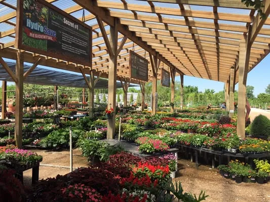 Shades of Texas Wholesale Nursery Logo