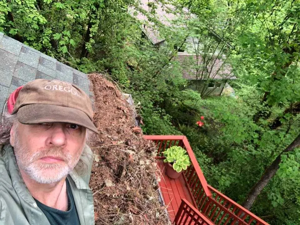 Custom lawn care service experts serving Veneta, OR - ShadeScapes