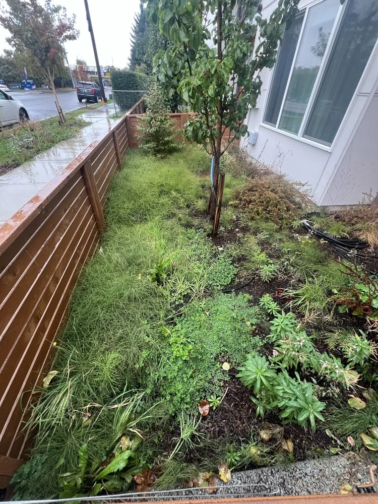 Trusted landscape installation for beautiful yards across Renton, WA - Shadow Lawn Care Services