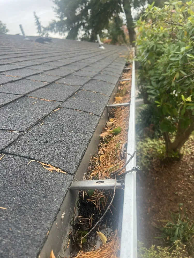 Expert landscape installation for outdoor upgrades in Renton, WA by Shadow Lawn Care Services