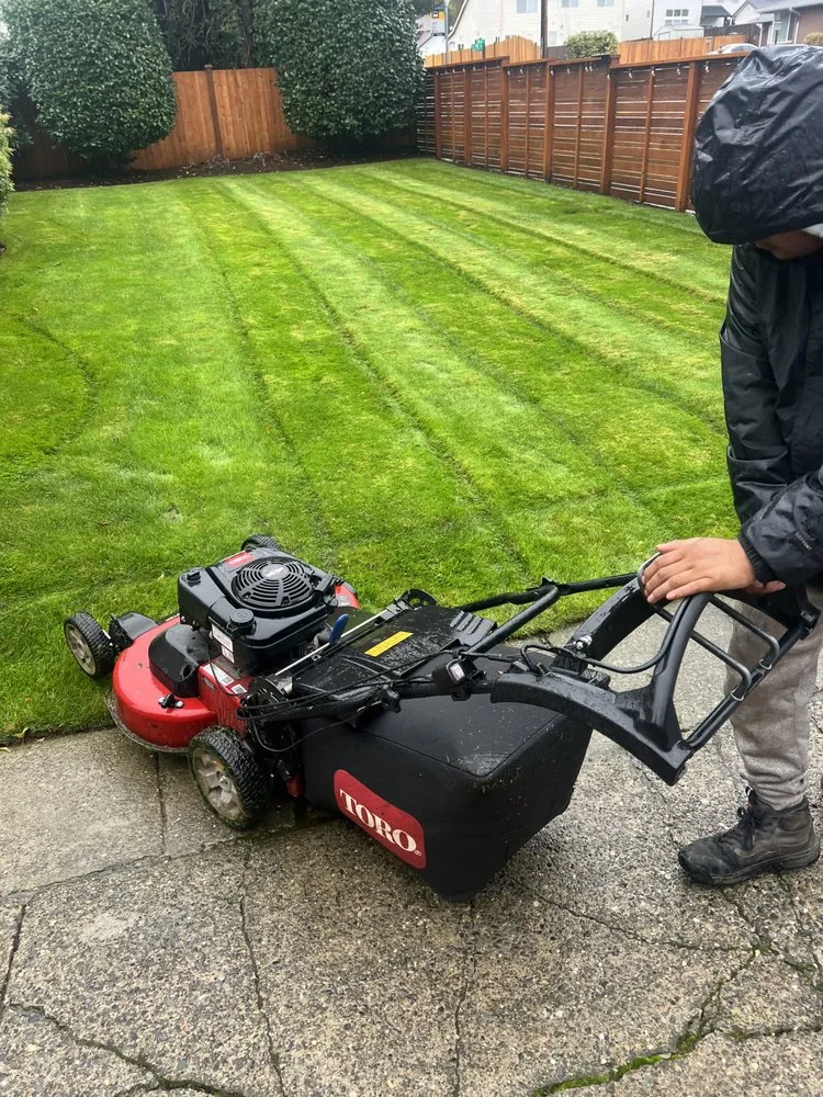 Custom garden landscaping experts serving Renton, WA - Shadow Lawn Care Services