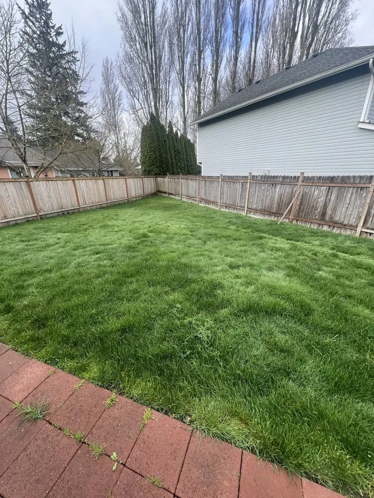 Expert lawn care service experts serving Renton, WA - Shadow Lawn Care Services
