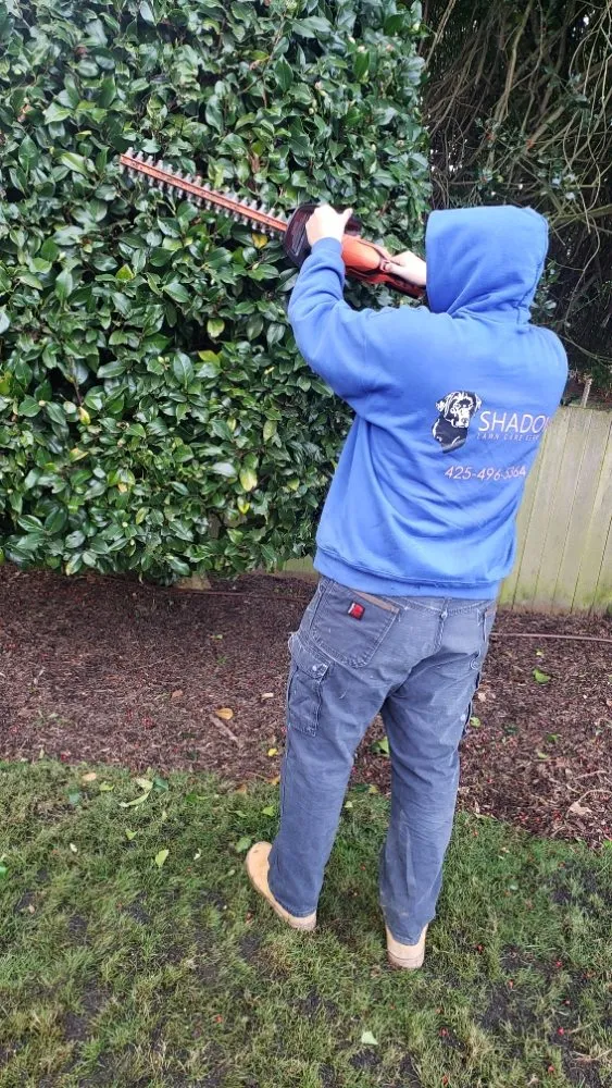 Expert outdoor landscaping for year-round maintenance in Renton, WA by Shadow Lawn Care Services