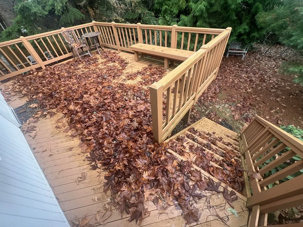 Local lawn mowing service for outdoor upgrades in Renton, WA by Shadow Lawn Care Services