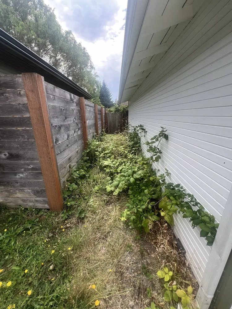 Local outdoor landscaping in Renton, WA by Shadow Lawn Care Services