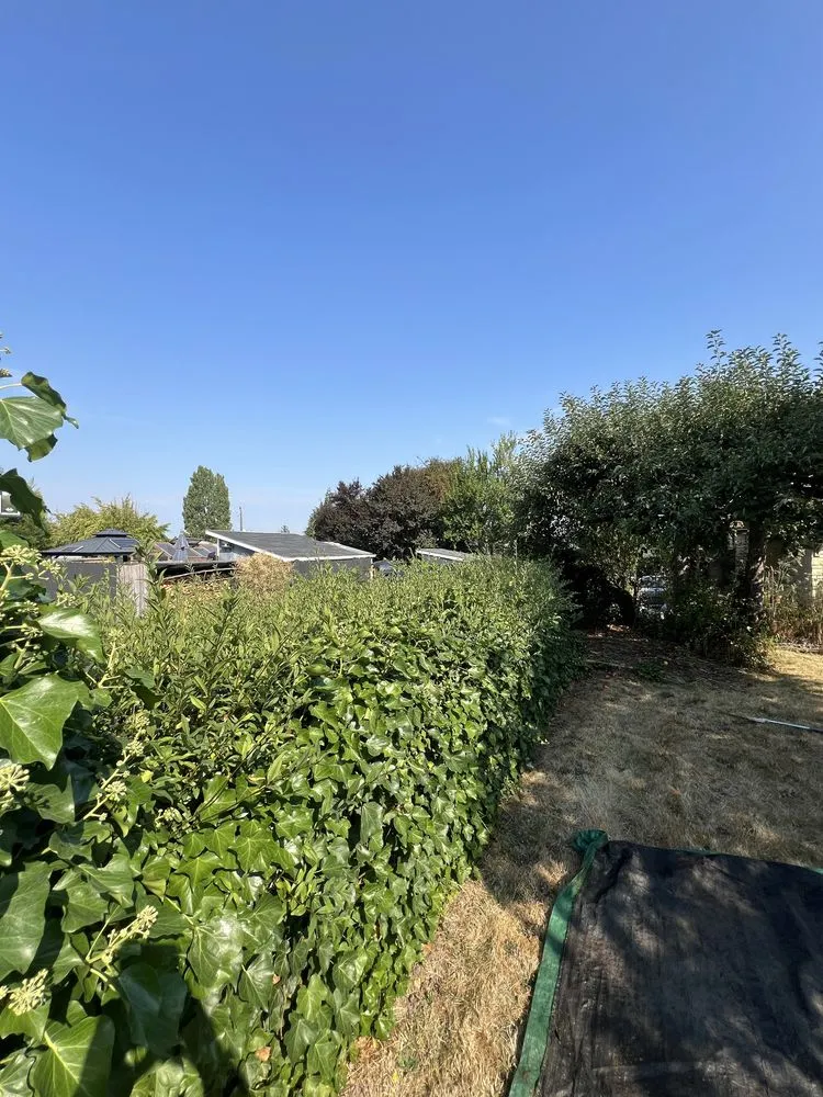 Expert garden landscaping in Renton, WA - Shadow Lawn Care Services