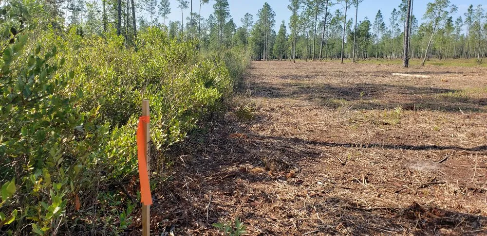 Expert landscaping services experts serving Deland, FL - ShadowCat Services