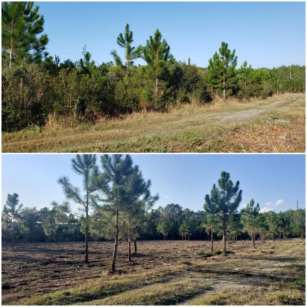 Trusted lawn mowing service experts serving Deland, FL - ShadowCat Services