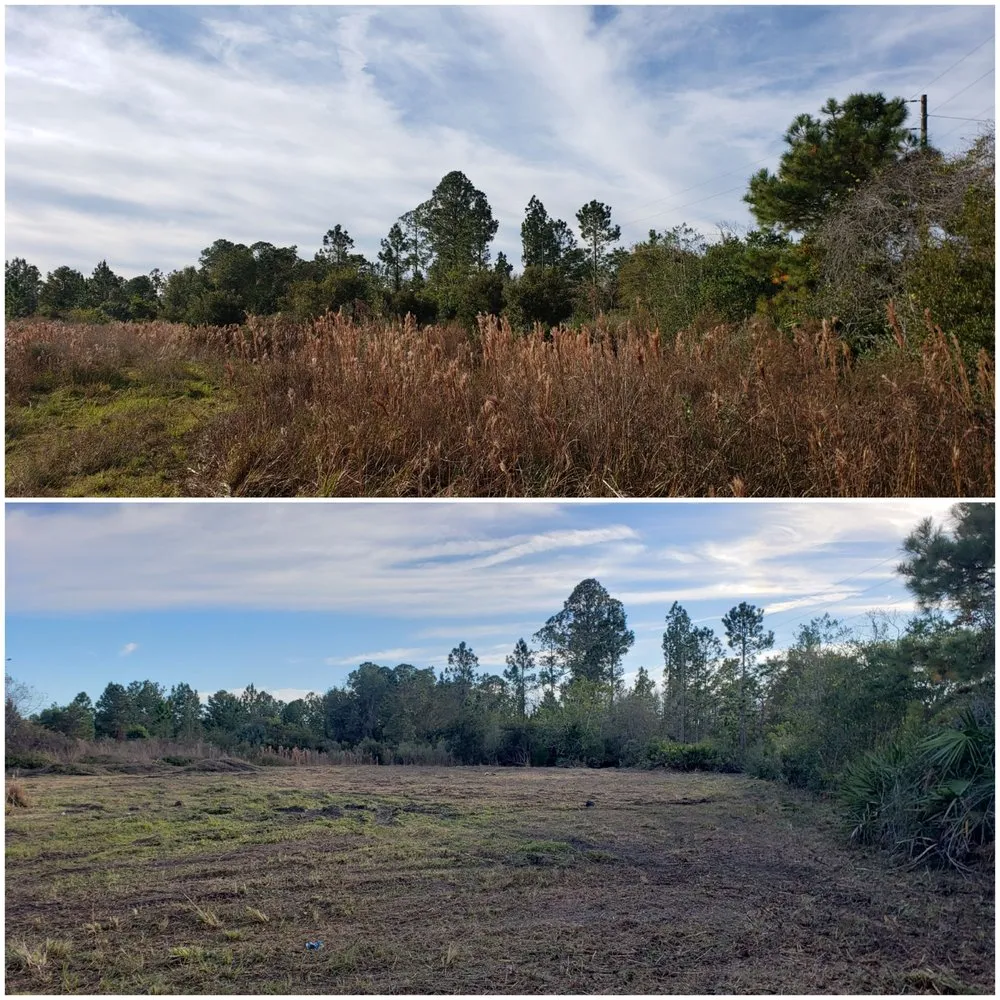 Expert lawn care service with custom design across Deland, FL - ShadowCat Services