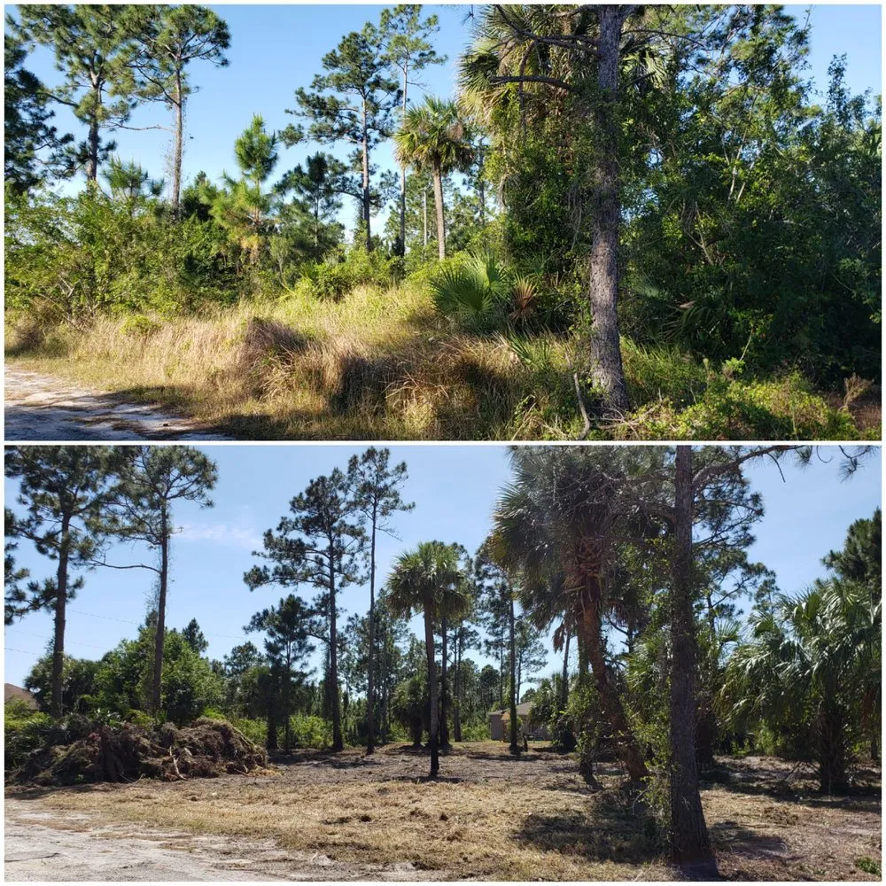 Trusted lawn care service in Deland, FL by ShadowCat Services