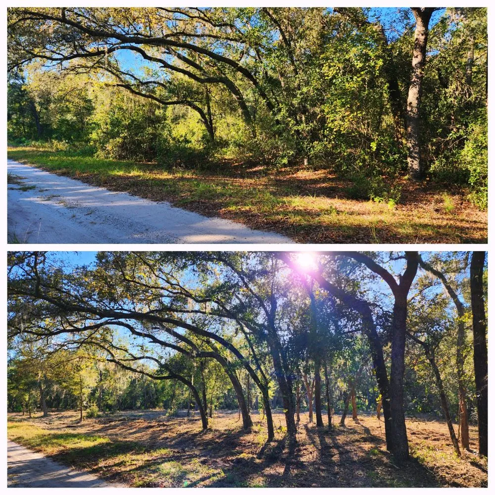 Custom yard maintenance in Deland, FL by ShadowCat Services