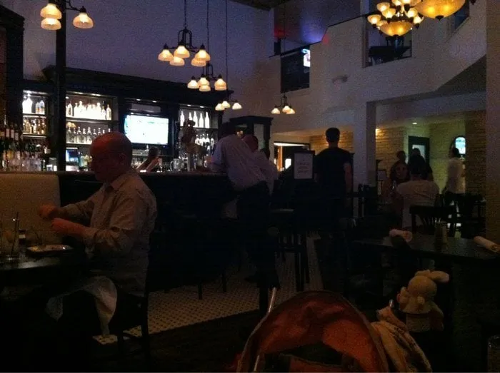 Professional landscape design in Deland, FL - ShadowCat Services