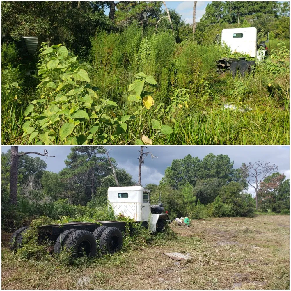 Reliable lawn care service experts serving Deland, FL - ShadowCat Services