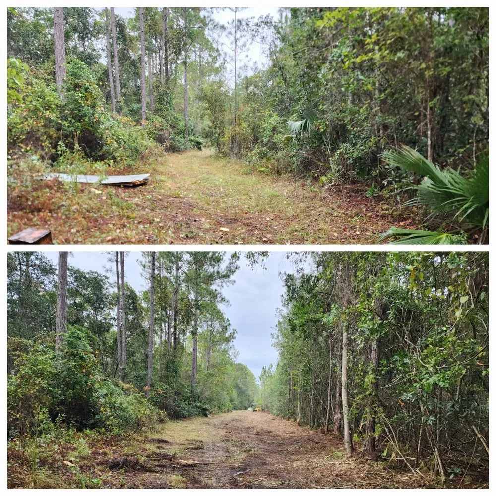 Custom landscape design for outdoor upgrades across Deland, FL - ShadowCat Services