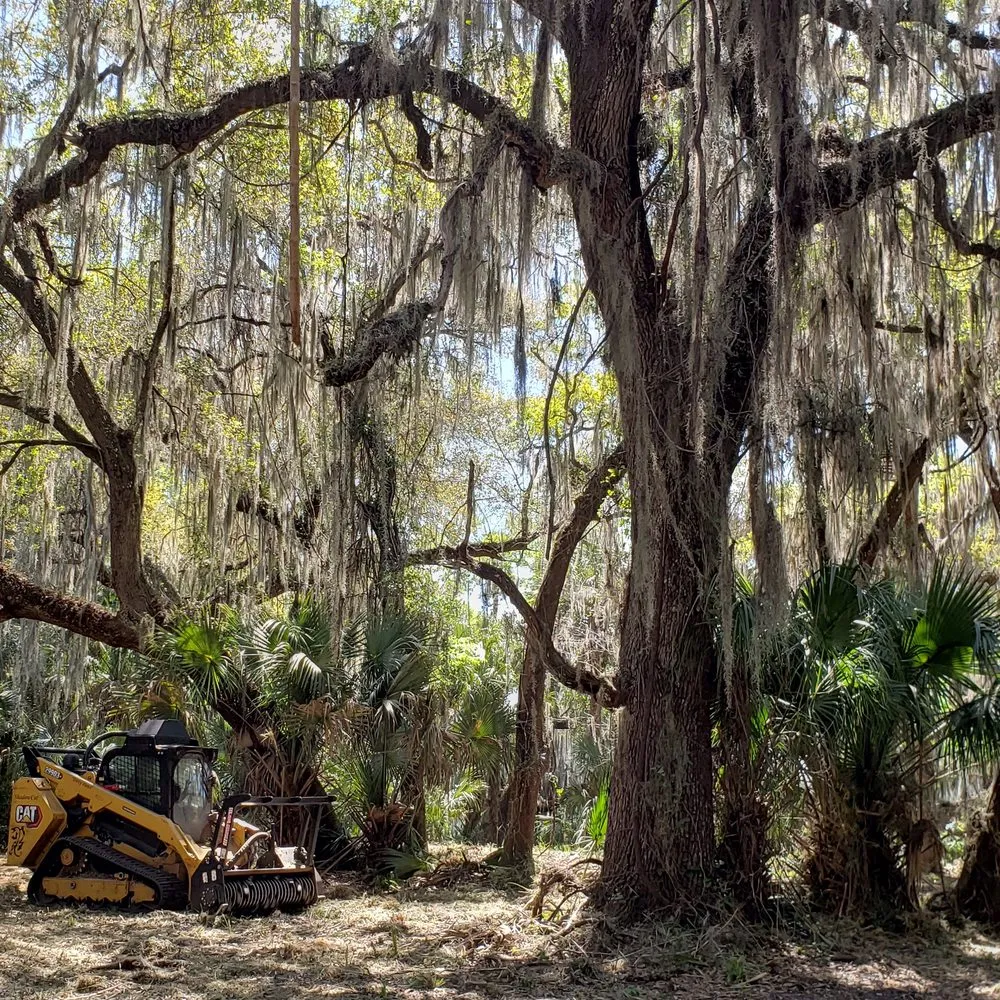 Local lawn mowing service in Deland, FL - ShadowCat Services