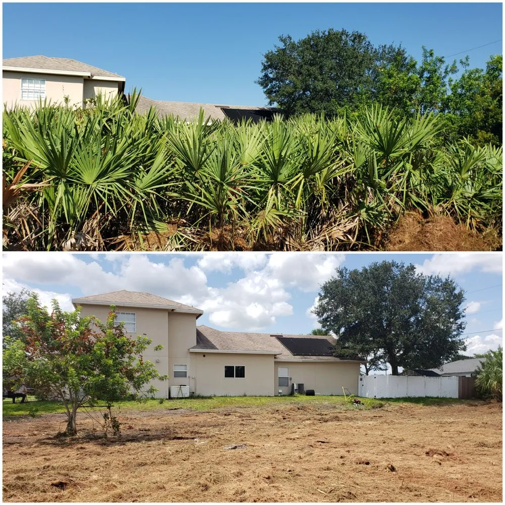 Professional landscape design in Deland, FL by ShadowCat Services