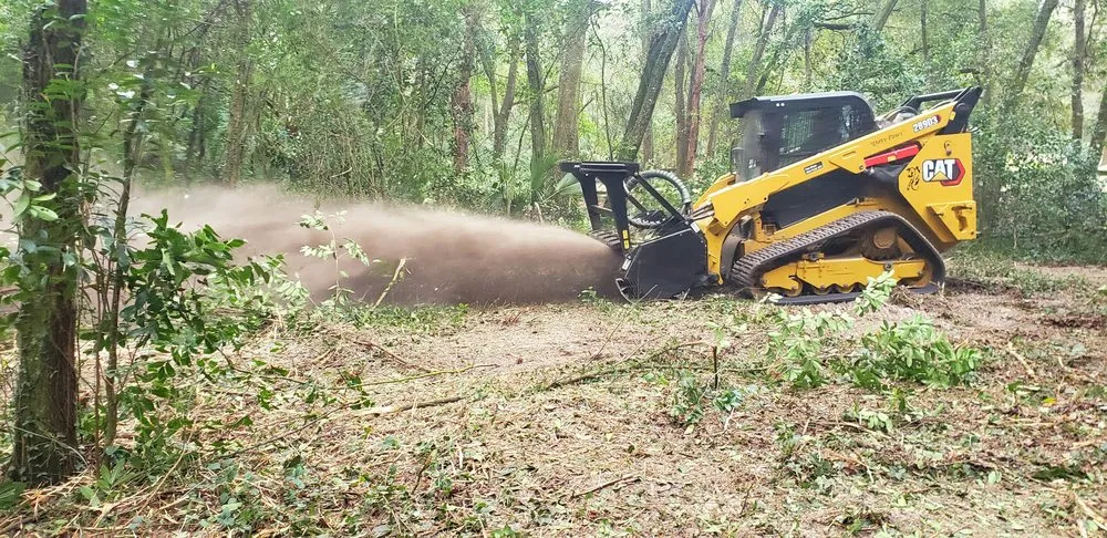 Top-rated landscape design in Deland, FL - ShadowCat Services