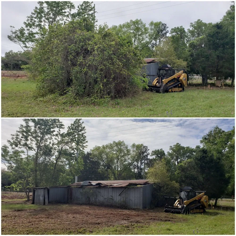 Trusted lawn care service for beautiful yards in Deland, FL by ShadowCat Services
