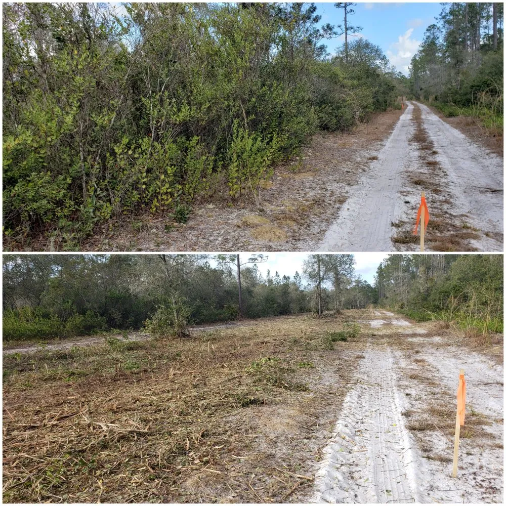 Affordable lawn care service in Deland, FL by ShadowCat Services