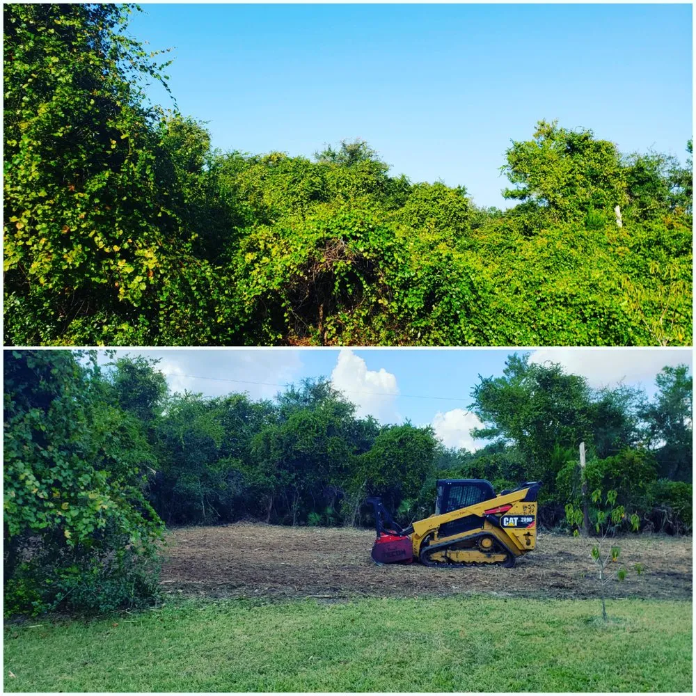 Expert landscape installation for residential properties in Deland, FL by ShadowCat Services