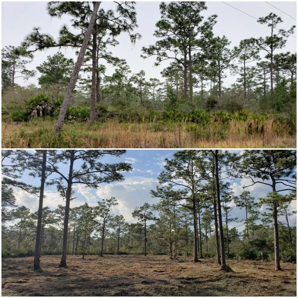 Local landscape installation for beautiful yards in Deland, FL by ShadowCat Services