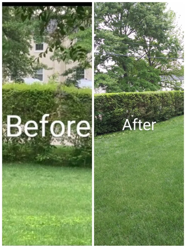 Expert garden landscaping experts serving Nashville, TN - Shadowens Home Improvement