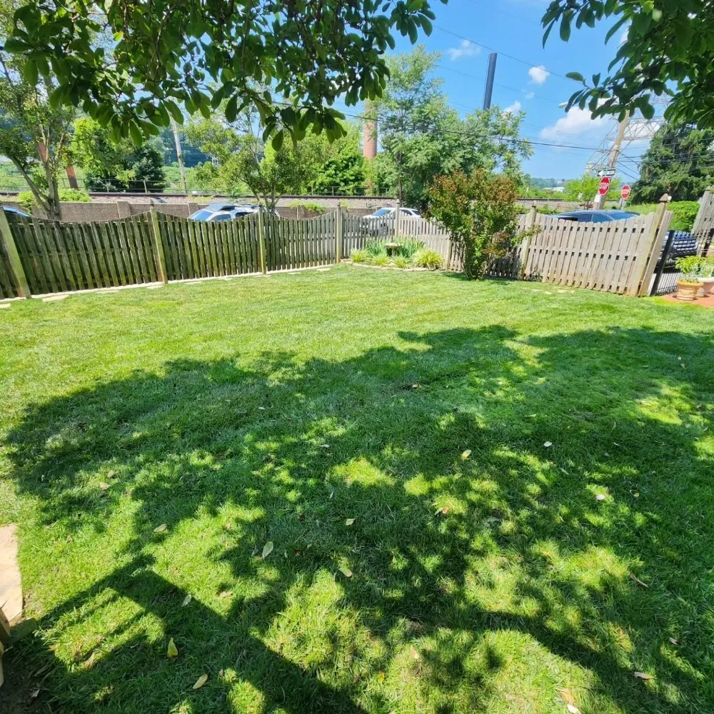 Professional yard cleanup service in Upper Darby, PA - SHAD'S A1 LAWN CARE SERVICES