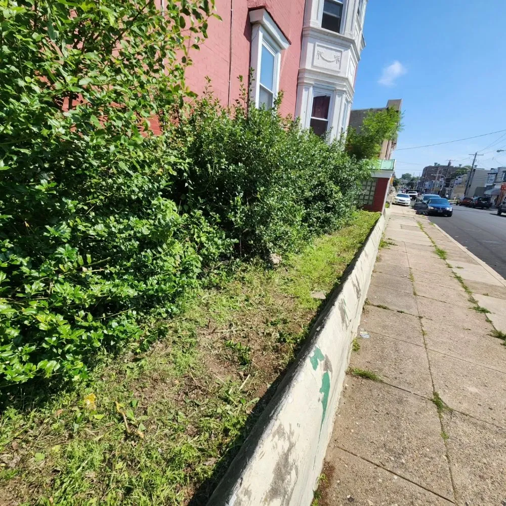 Local yard cleanup service for residential properties in Upper Darby, PA by SHAD'S A1 LAWN CARE SERVICES