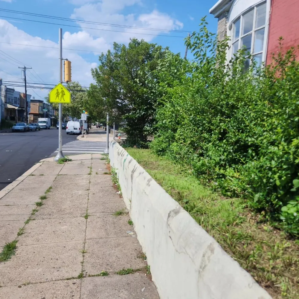 Affordable residential landscaping experts serving Upper Darby, PA - SHAD'S A1 LAWN CARE SERVICES