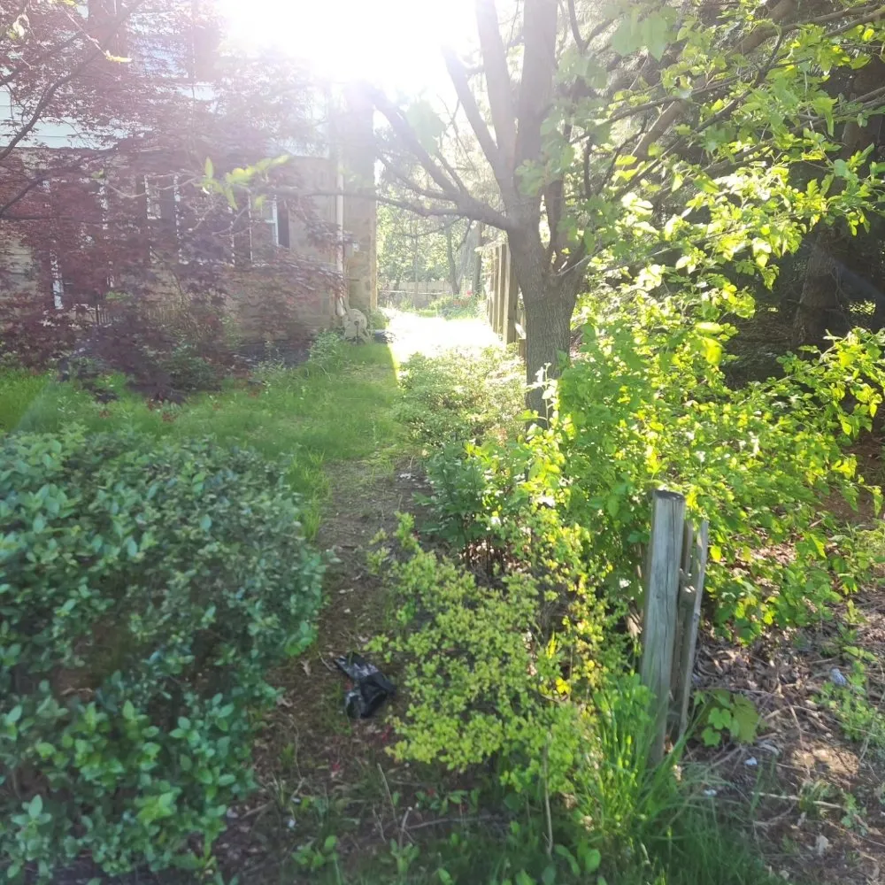 Affordable outdoor landscaping for beautiful yards in Upper Darby, PA by SHAD'S A1 LAWN CARE SERVICES