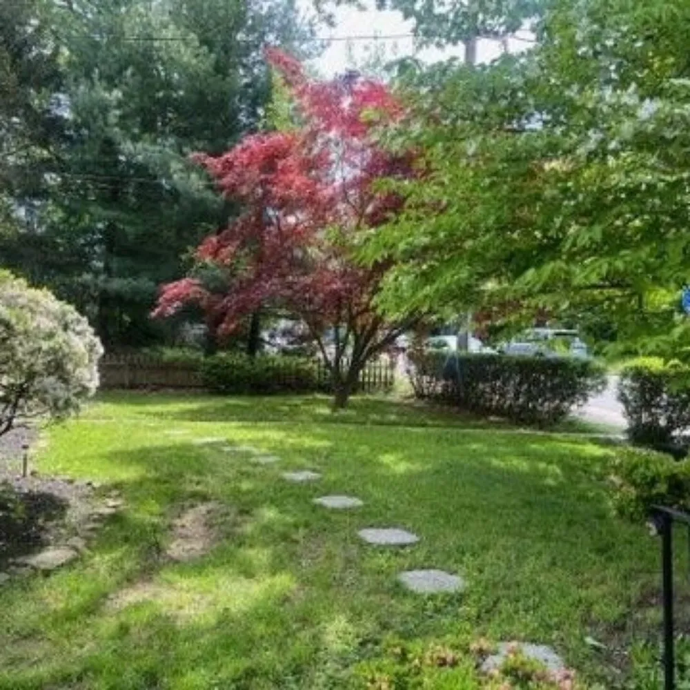 Top-rated yard maintenance for beautiful yards across Upper Darby, PA - SHAD'S A1 LAWN CARE SERVICES