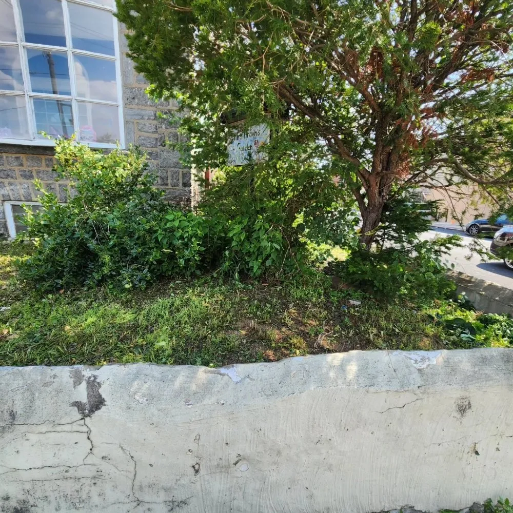 Reliable yard maintenance in Upper Darby, PA by SHAD'S A1 LAWN CARE SERVICES