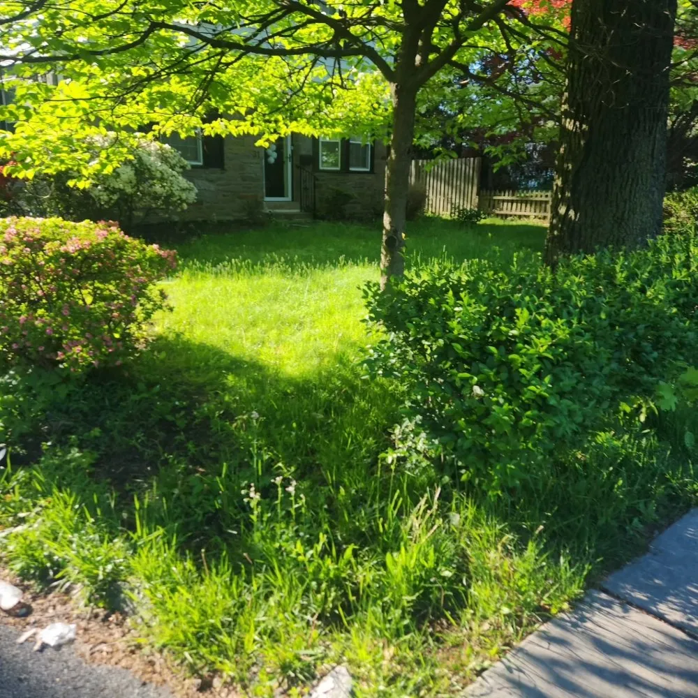 Professional garden landscaping in Upper Darby, PA by SHAD'S A1 LAWN CARE SERVICES