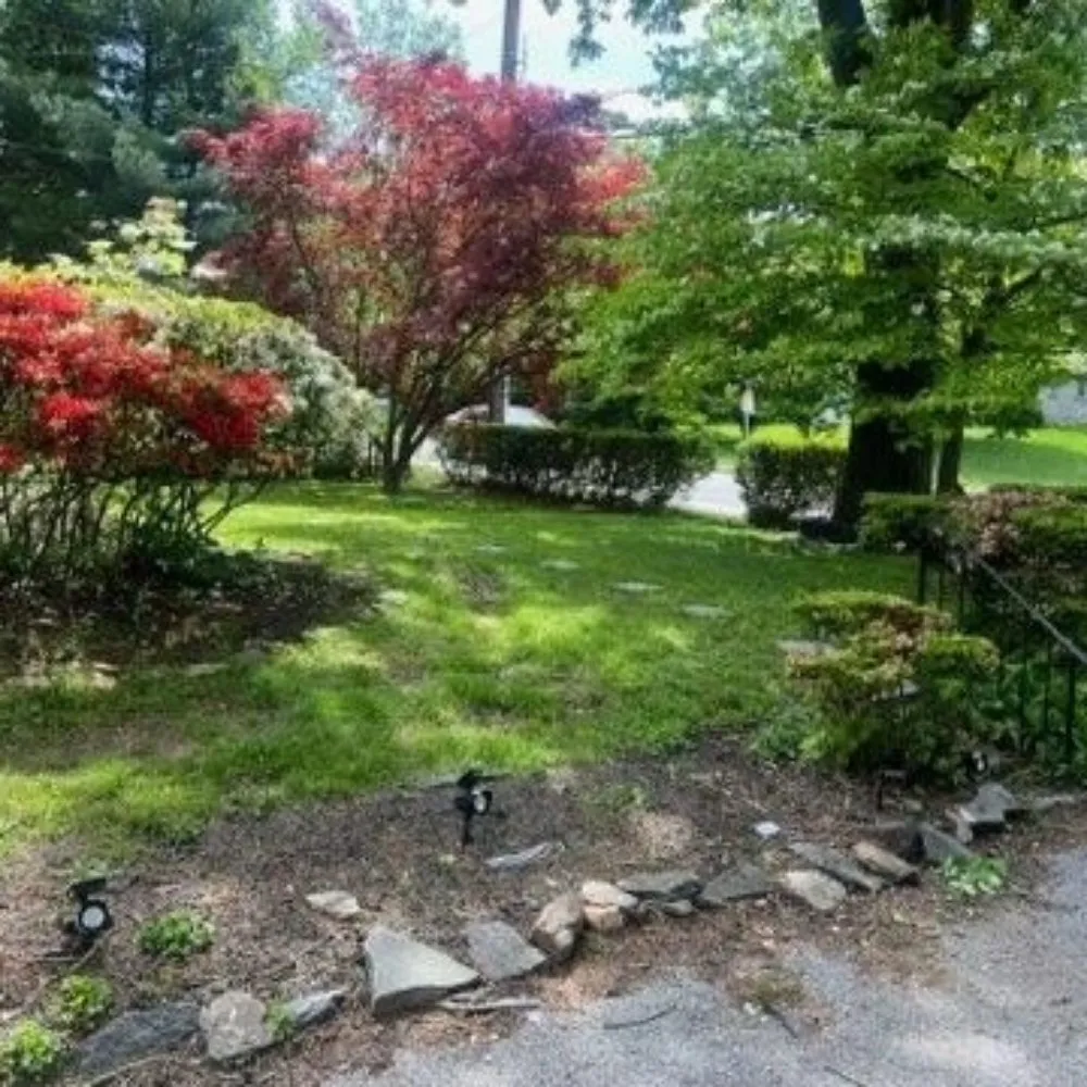 Affordable yard maintenance for residential properties across Upper Darby, PA - SHAD'S A1 LAWN CARE SERVICES