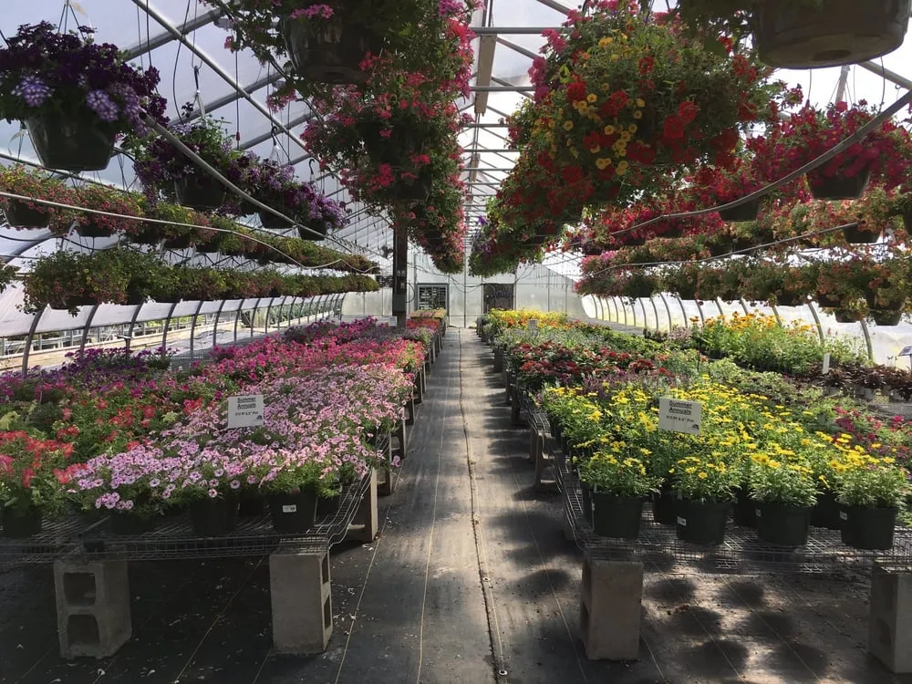 Trusted landscape installation in Londonderry, NH - Shady Hill Greenhouse & Nursery