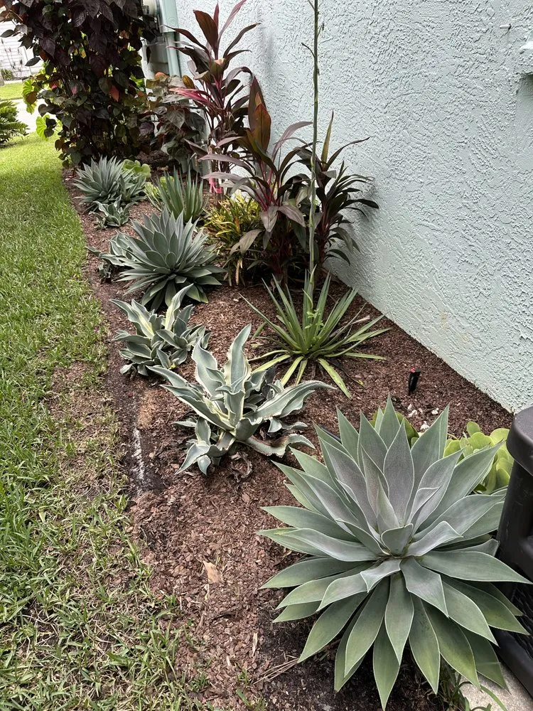 Affordable garden landscaping experts serving Bradenton Beach, FL - Shady Lady Horticultural Services