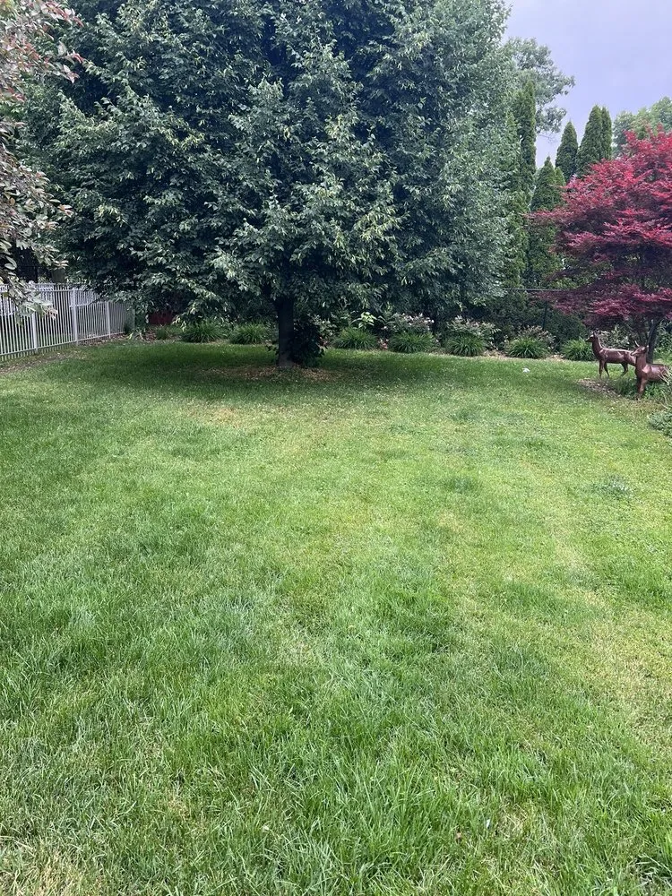 Local lawn mowing service in Fraser, MI by Shady Lane Landscaping