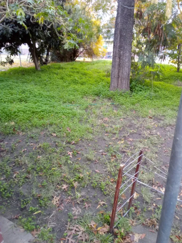 Professional lawn mowing service experts serving Stockton, CA - Shady Lawn Landscaping