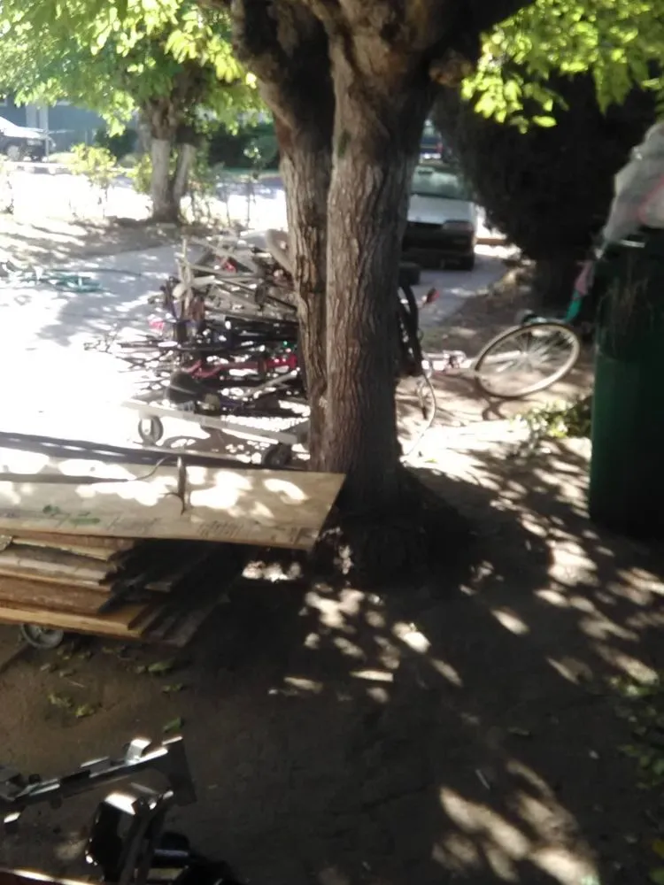 Top-rated landscape installation experts serving Stockton, CA - Shady Lawn Landscaping