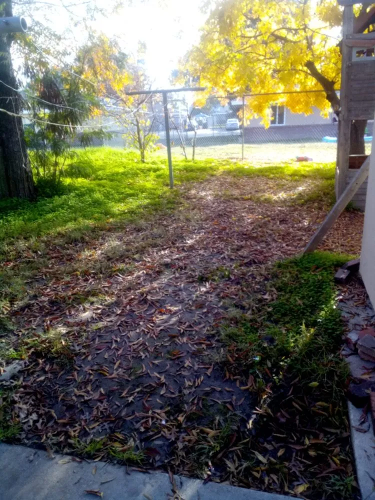 Top-rated residential landscaping near you in Stockton, CA by Shady Lawn Landscaping