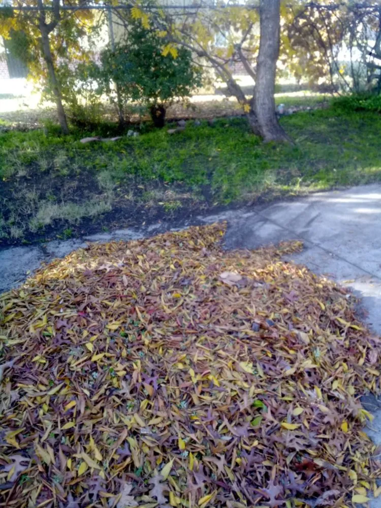 Professional landscape design in Stockton, CA - Shady Lawn Landscaping