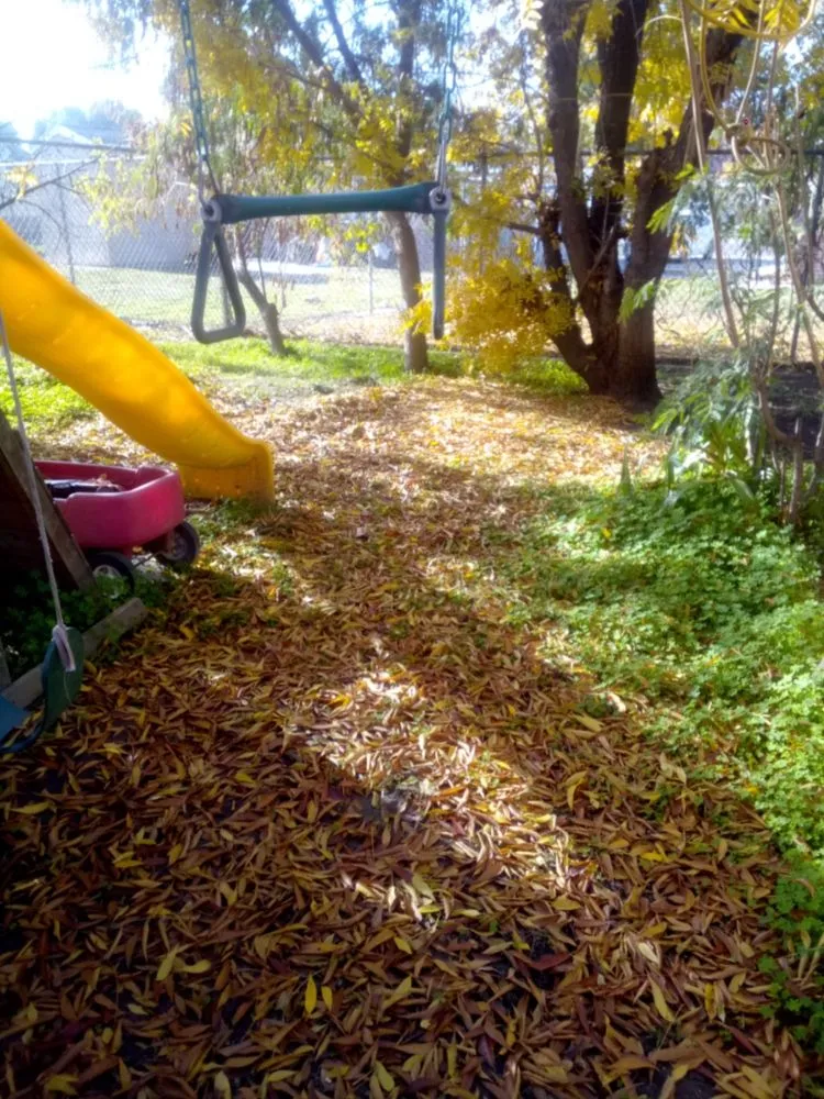 Custom lawn care service for outdoor upgrades across Stockton, CA - Shady Lawn Landscaping